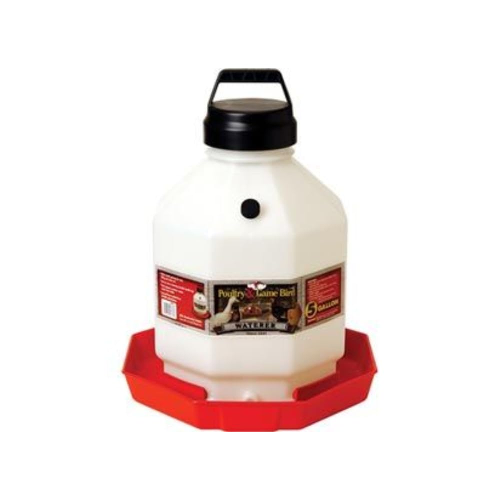 Plastic Chicken Waterer 5 Gallon A84293