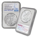 1 oz American Silver Eagle Coin C173