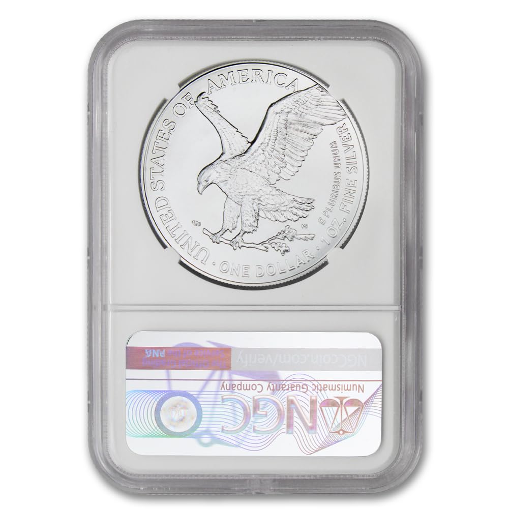 1 oz American Silver Eagle Coin C173