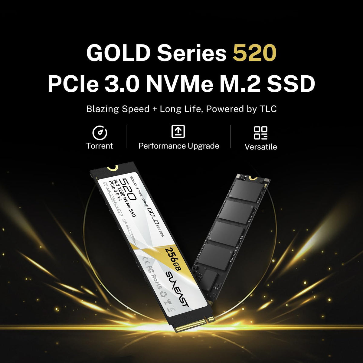 256GB M.2 2280 PCIe 3.0 NVMe SSD O973637