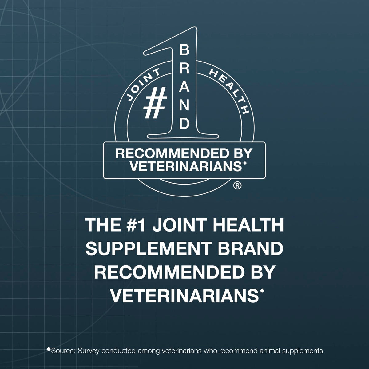 Joint Supplement Chew Tablets 84ct C8488
