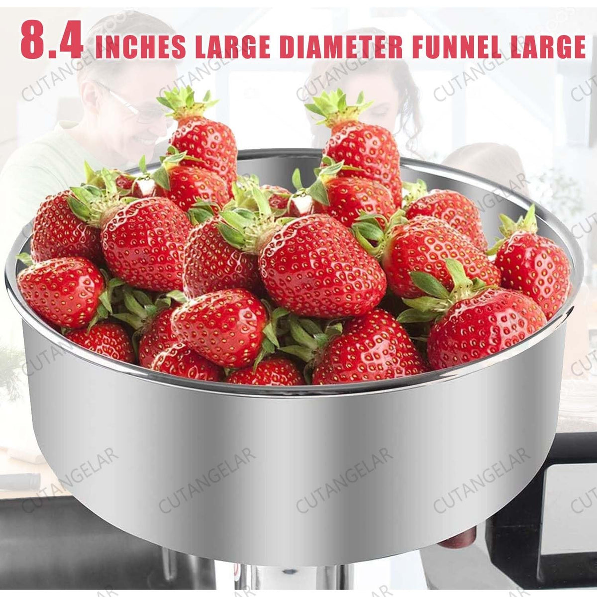 450W Stainless Steel Food Juicer S603
