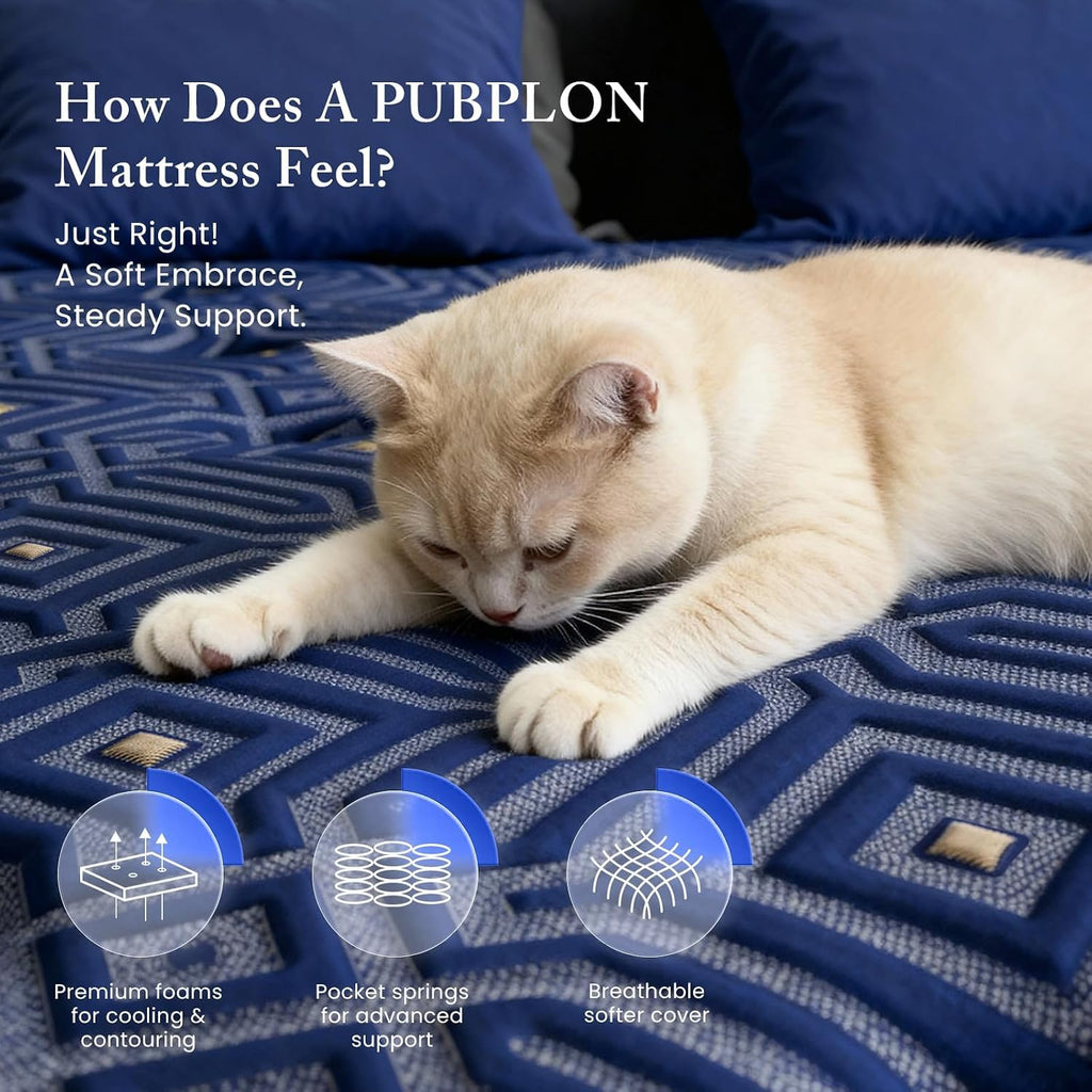 Queen 14 Inch Hybrid Gel Memory Foam Mattress in a Box L974610