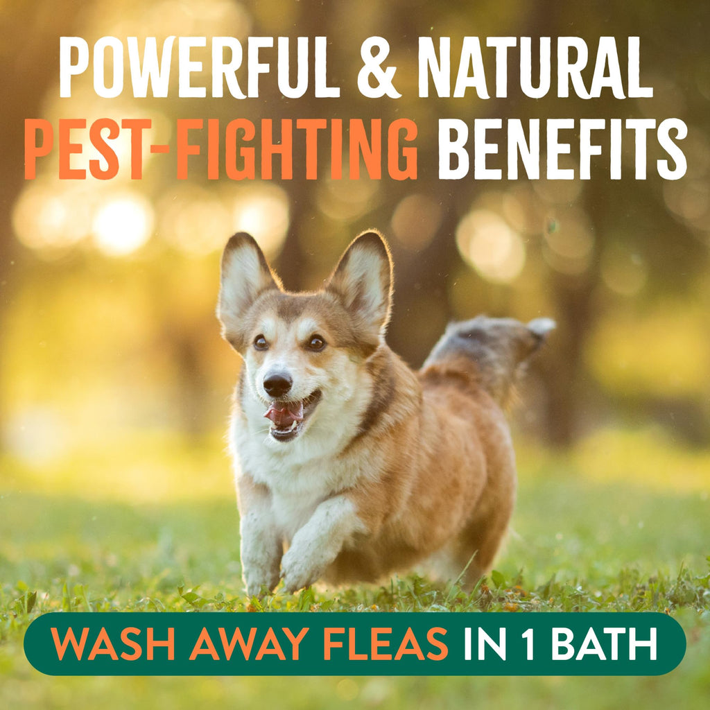Soothing Flea and Tick Dog Shampoo 20oz L2694