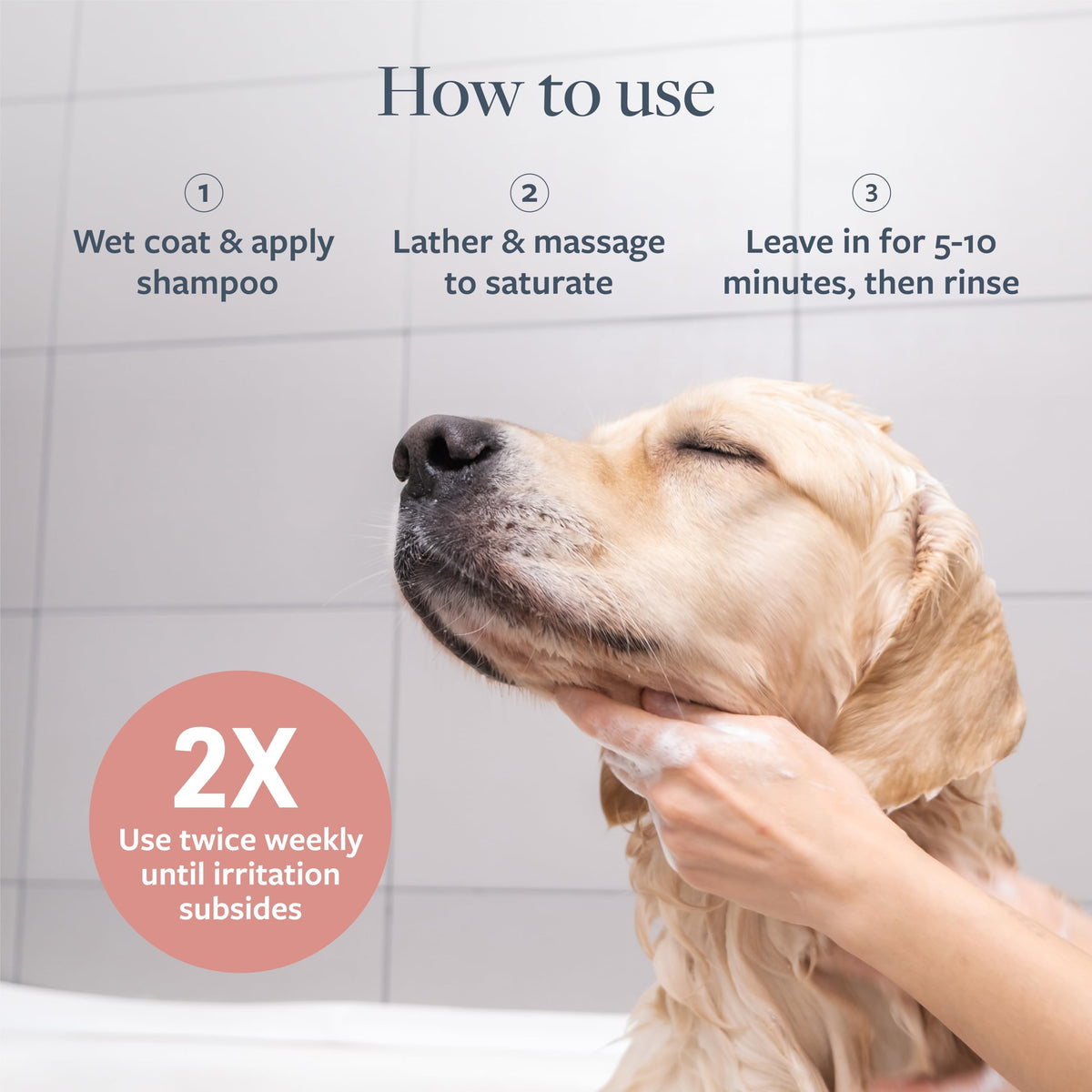 Hot Spot & Itch Relief Pet Shampoo, 16 oz Q697524