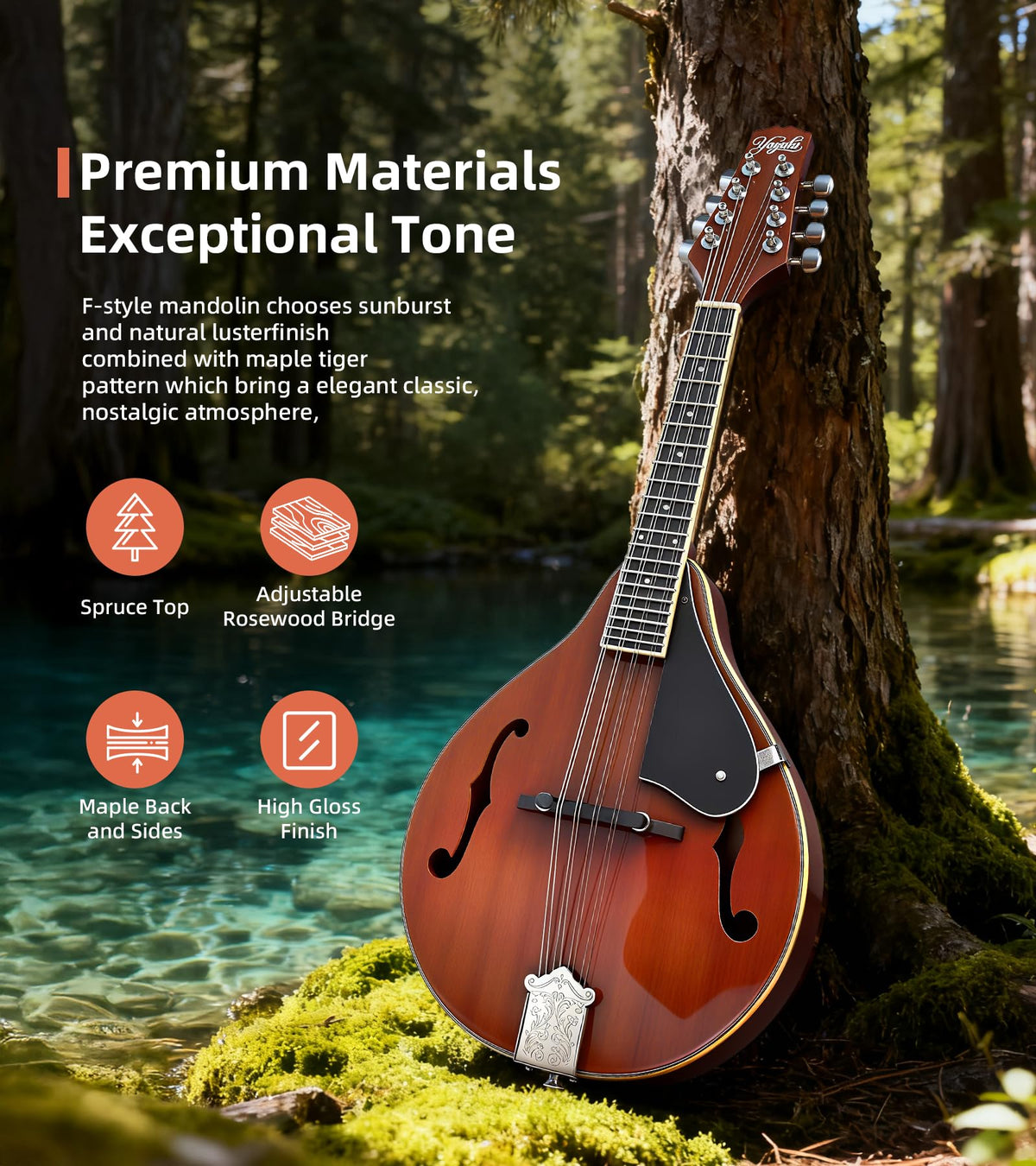 Sunburst Glossy 8 String A Style Acoustic Mandolin W9304