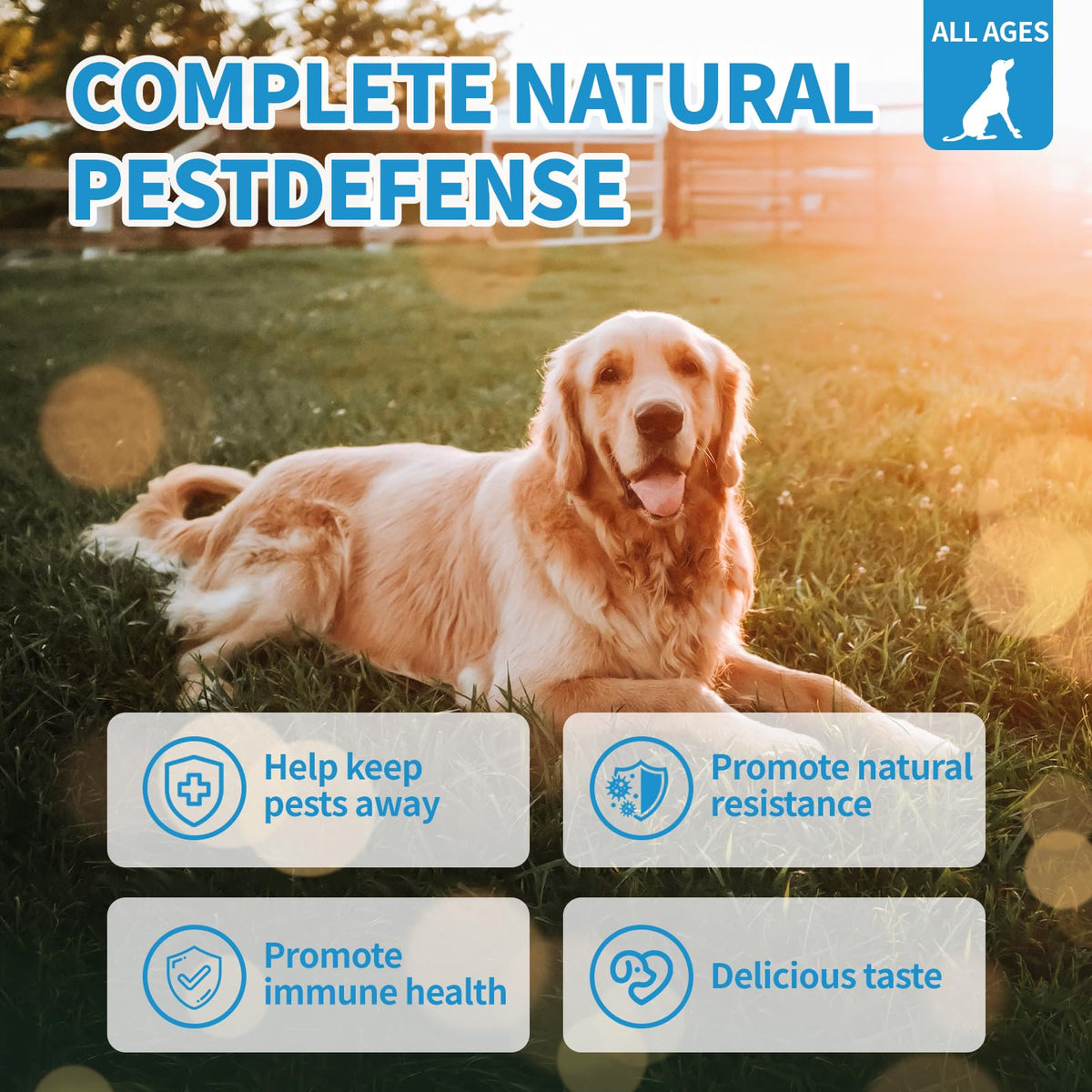Flea and Tick Chewables 200Ct D920777