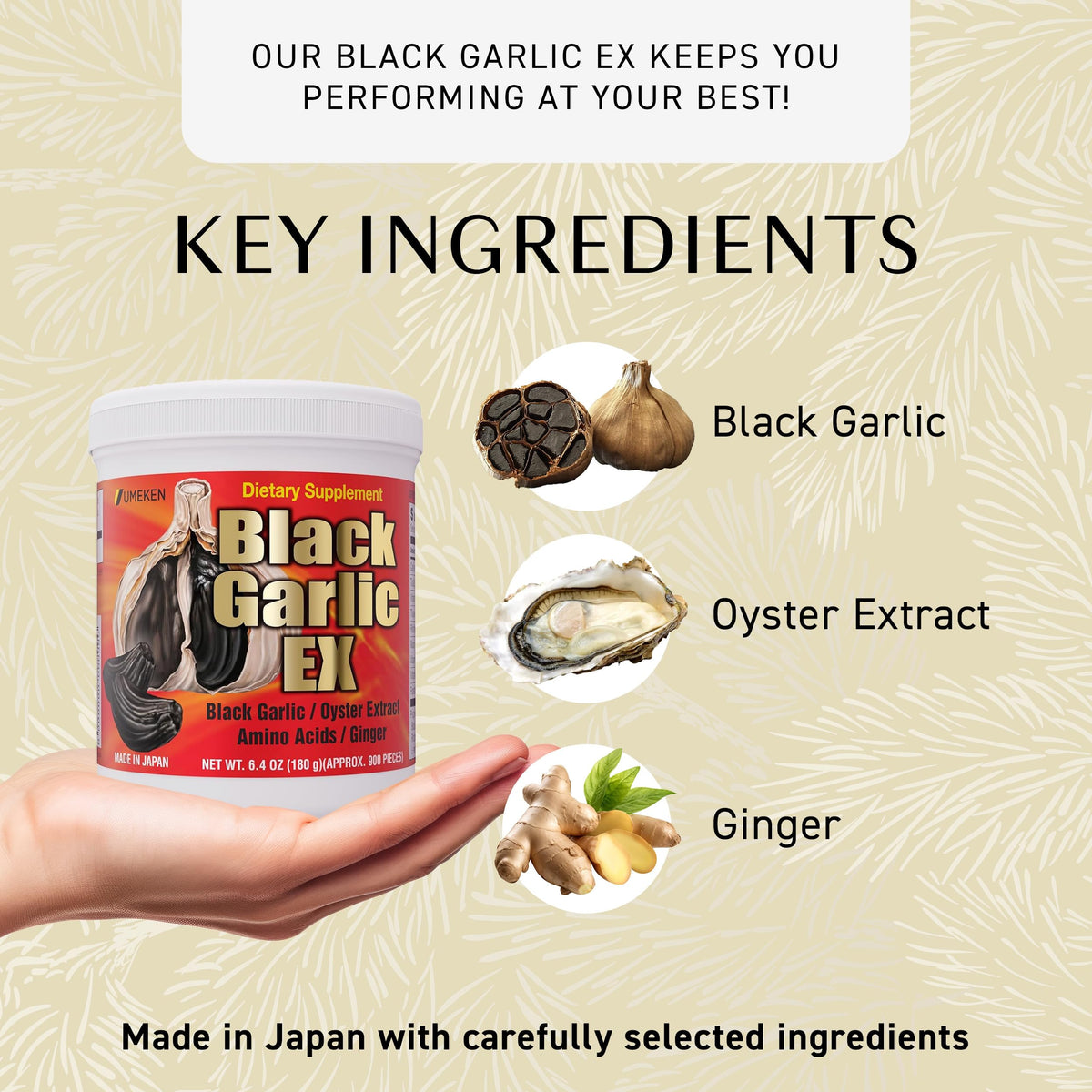 Black Garlic Supplement with Vitamin B, 6.4 Ounce Bottle, Pack of 2 O1658