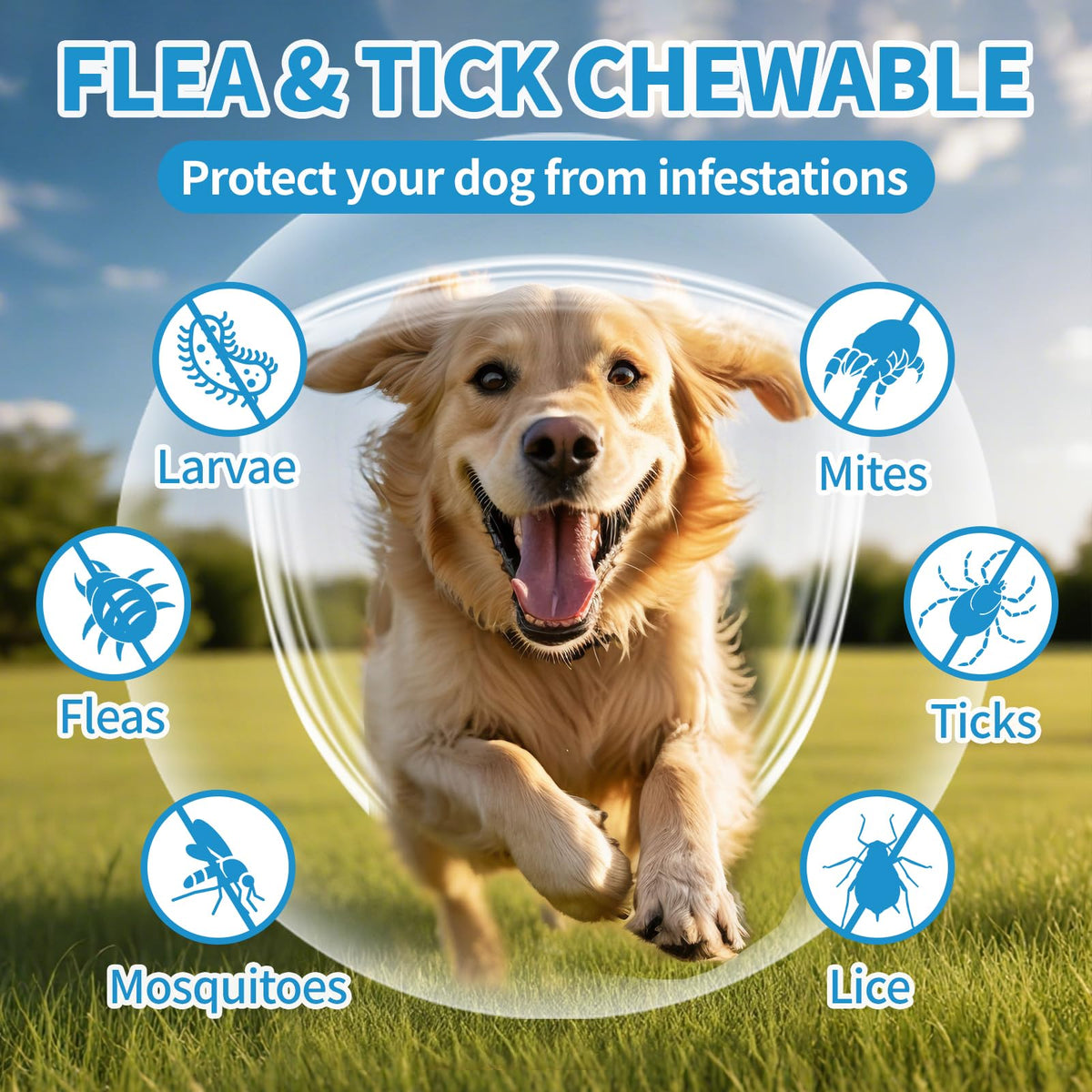 Flea and Tick Chewables 200Ct D920777