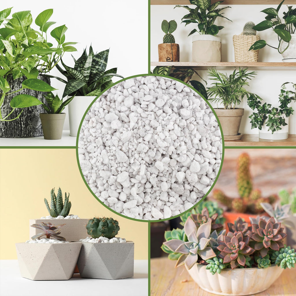 Coarse Perlite for Plants 30 Quarts I7331