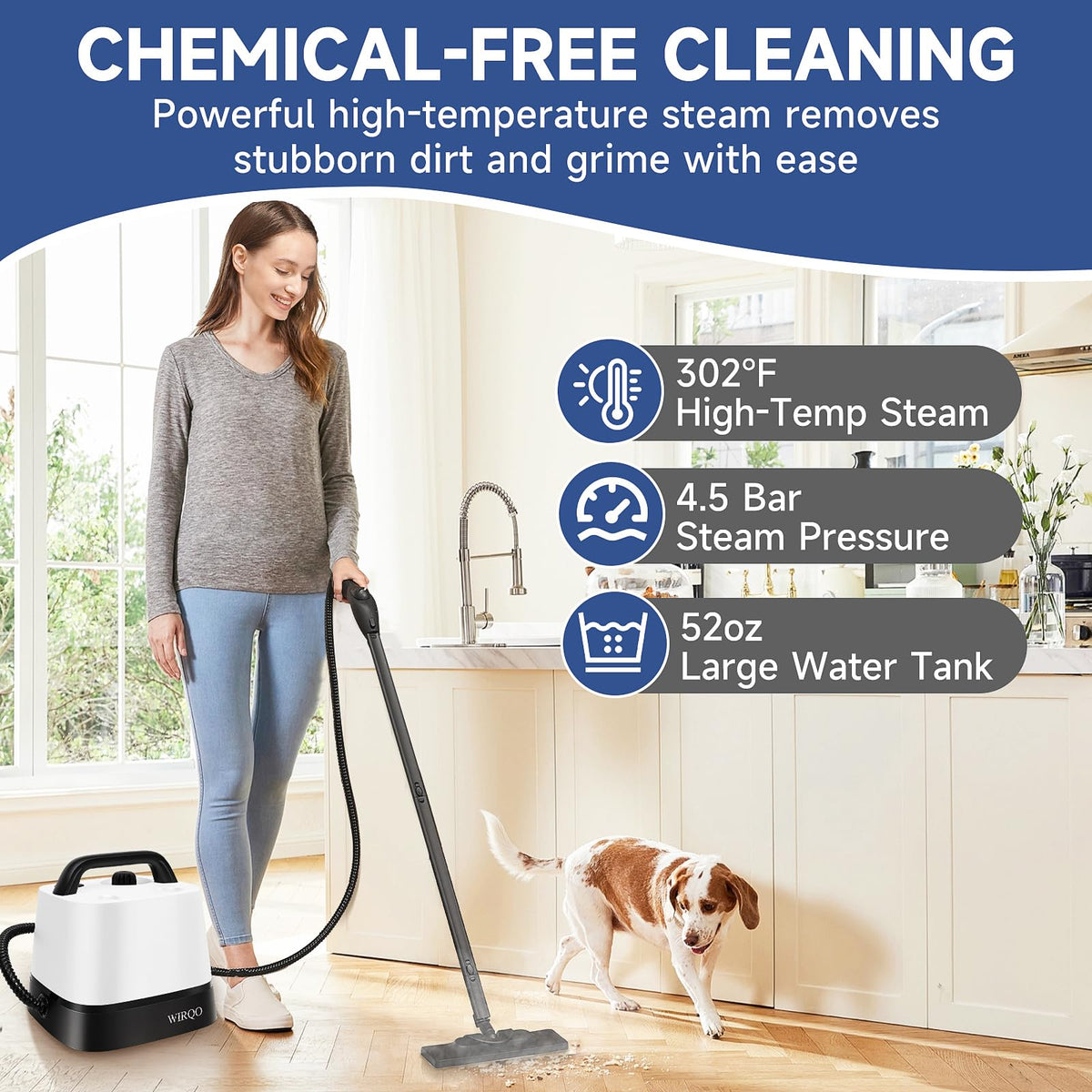 Multipurpose Steam Cleaner Z234123
