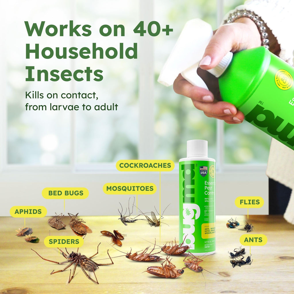 Pet Safe Bed Bug Roach and Ant Killer 64 oz Q24145
