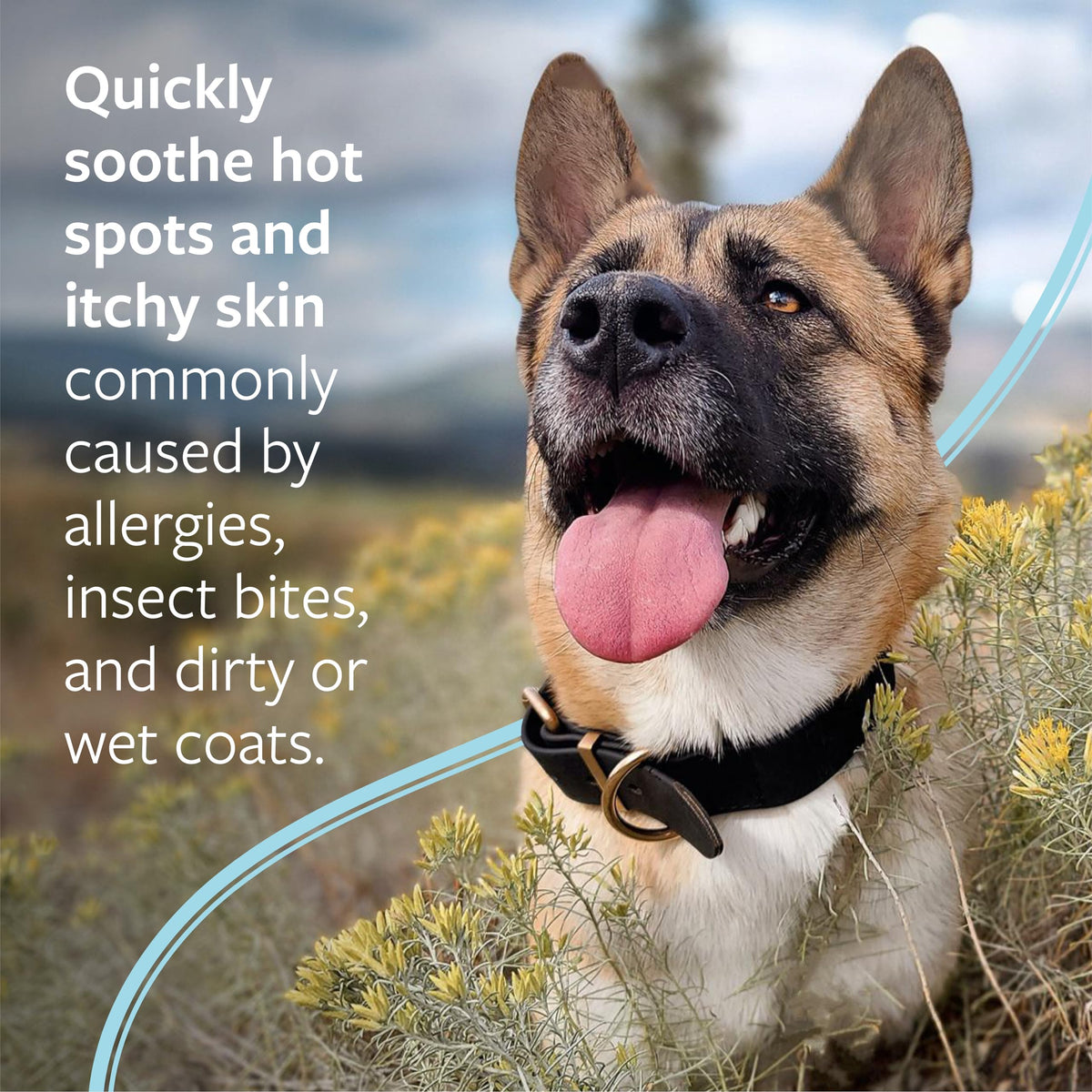 Hot Spot & Itch Relief Pet Shampoo, 16 oz Q697524
